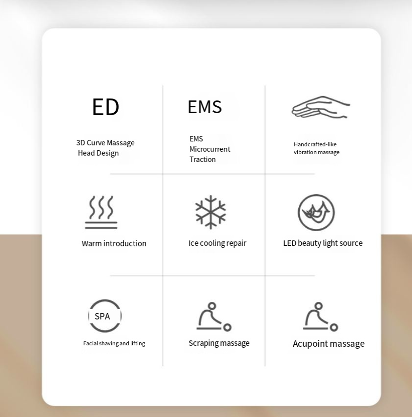 Electric EMS Gua Sha Sculptor